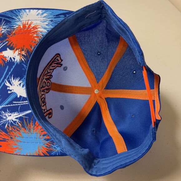 Aberdeen Iron Birds Minor League Hats Set of 6 Cap Snapback Color Splash Brim - Picture 9 of 10